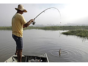 Ministérios estudam criação do Registro Geral da Pesca