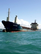 Vazamento de óleo é contido no navio mercante Seawind