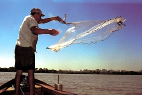 Ministério da Pesca prevê boas perspectivas para o setor