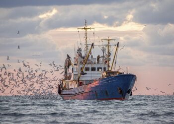 29 de junho: Dia do Pescador