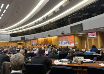 Brasil é reeleito para o Conselho da IMO como um dos países mais votados