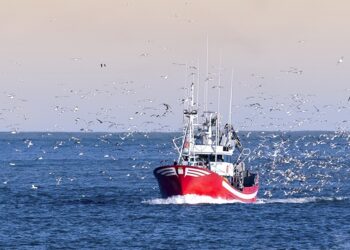 Conttmaf e FNTTAA apoiam qualificação profissional para pescadores