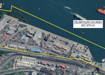 Tecon 10: Antaq age para evitar aumento da concentração da atividade portuária