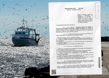 Conttmaf apoia criação de programa nacional de resgate de pescadores em alto-mar